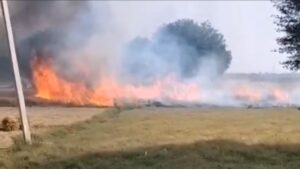 मिर्जामुराद: हाईटेंशन तार की चिंगारी से गेहूं की फसल स्वाहा, किसान बेहाल