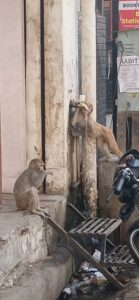 सीजन का अब तक का सबसे अधिक तापमान दर्ज, दिन में तेज धूप और गर्म हवाओं से लोग परेशान