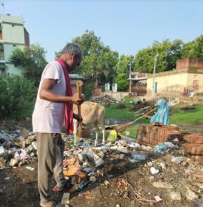 सफाई अभियान