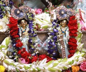 राधाष्टमी
इस्कॉन मंदिर