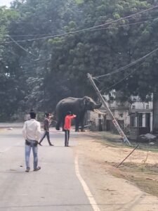 पीएम के संसदीय क्षेत्र में स्वास्थ्य व्यवस्था पर अजय राय ने उठाए सवाल, बीएचयू ट्रॉमा सेंटर की व्यवस्थाओं में सुधार की मांग